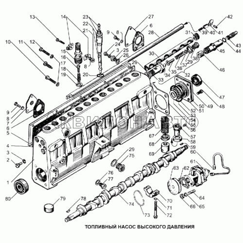 Топливный насос высокого давления Топливный насос высокого давления