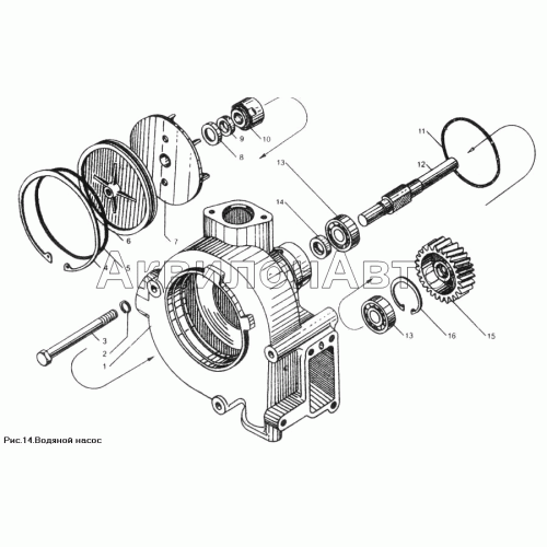 Водяной насос Водяной насос