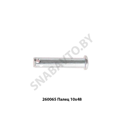260065 Палец 10х48