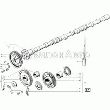 Распределение СМД-31, -31А, -31.01, 31Б.04