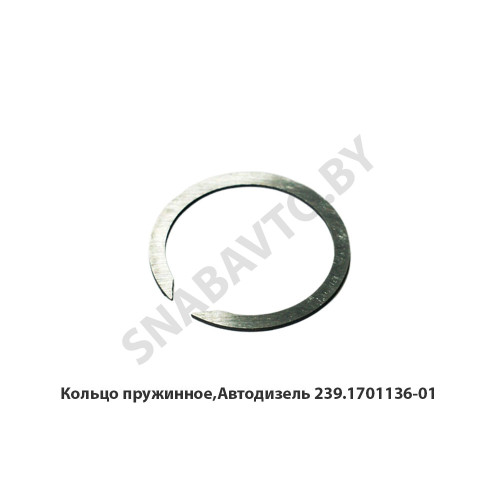 239.1701136-01 Кольцо пружинное,Автодизель 239.1701136-01 Кольцо пружинное,Автодизель