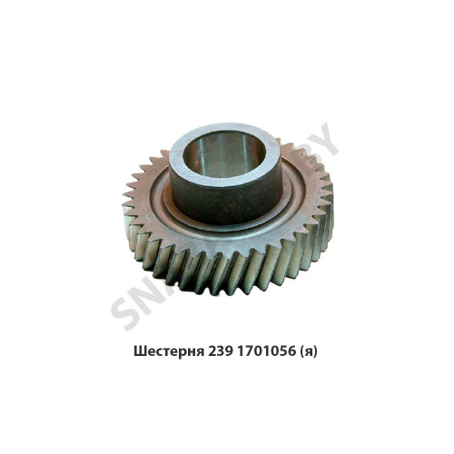 239.1701056 Шестерня пром.вала постоянного зацепления z-39,Автодизель