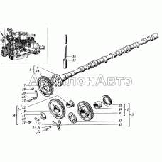 Распределение