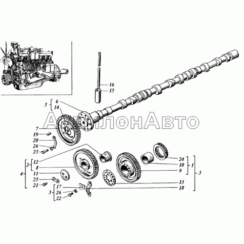 Распределение