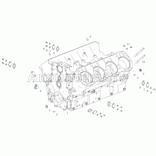 658.1002012-31 Блок цилиндров
