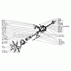 Насос водяной и вентилятор