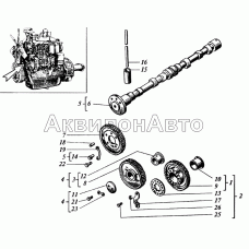 Распределение