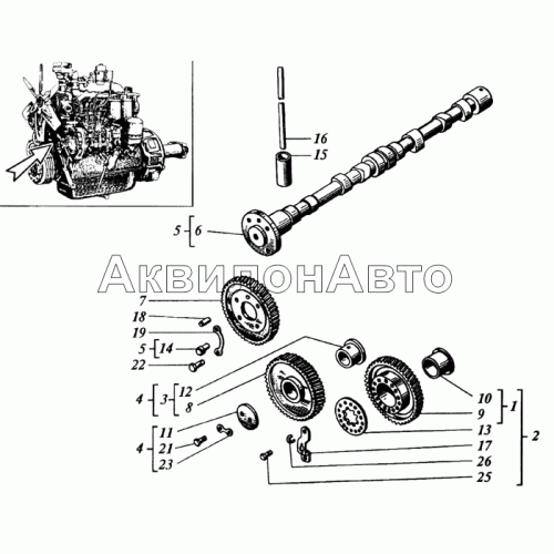 Распределение