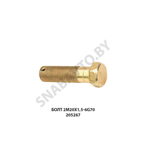 205267 Болт 2М20х1,5-6g70