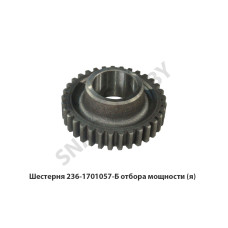 236-1701057-Б Шестерня  отбора мощности,Автодизель