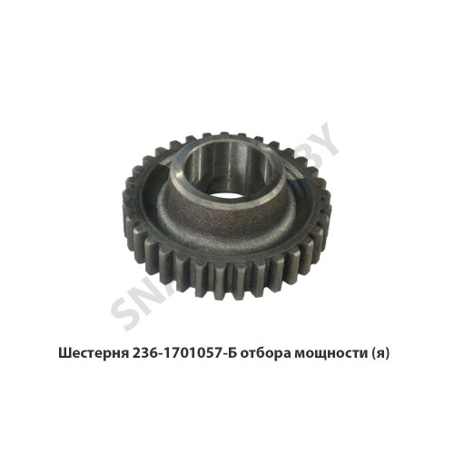 236-1701057-Б Шестерня  отбора мощности,Автодизель