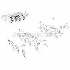 Труба распределительная (для двигателя ЯМЗ-5344-10) 5340-30-130300-010