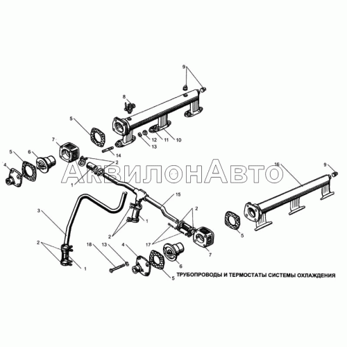 Трубопроводы и термостаты системы охлаждения Трубопроводы и термостаты системы охлаждения