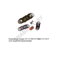 175-1111001-01 Ремкомплект секции ТНВД-171,175,17 (на 8 секций 48 наименований)