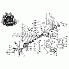 Насос водяной и вентилятор