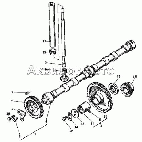 Вал распределительный. Клапаны и толкатели клапанов Вал распределительный. Клапаны и толкатели клапанов