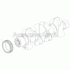 5340.1005010 Вал коленчатый в сборе