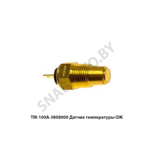ТМ-100А-3808000 Датчик температуры ОЖ