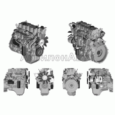 Двигатели ЯМЗ-53442 в сборе