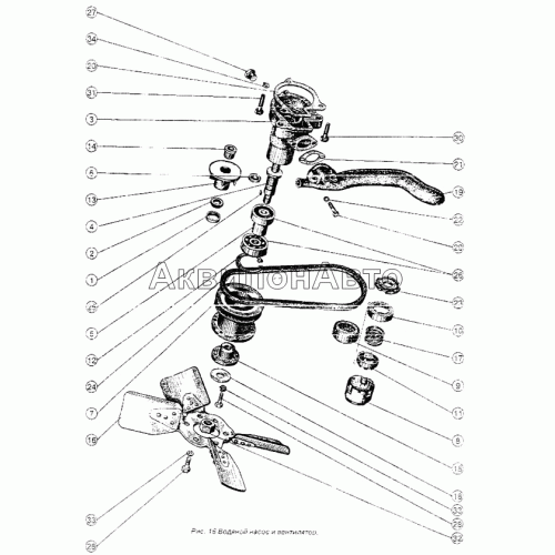Водяной насос и вентилятор Водяной насос и вентилятор