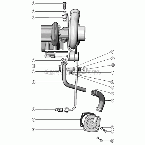 Маслопроводы турбокомпрессора. Маслопроводы турбокомпрессора.