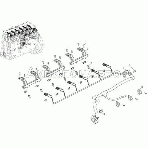 Жгут форсунок