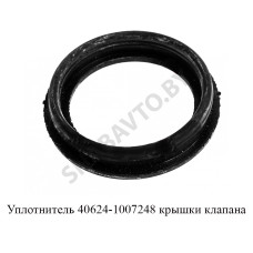 40624-1007248 Уплотнитель крышки клапана