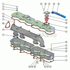 Крышки головок цилиндров, коллектор и сапуны Крышки головок цилиндров, коллектор и сапуны