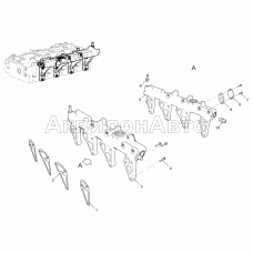 Труба распределительная 5340-30-130300-010