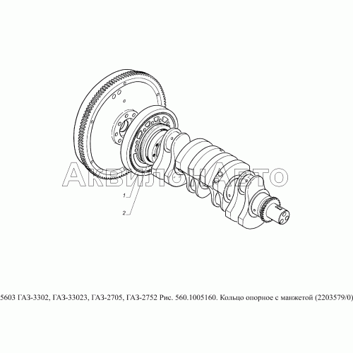560.1005160 Кольцо опорное с манжетой (2203579/0)