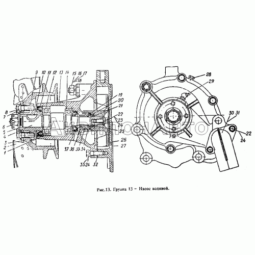 Насос водяной
