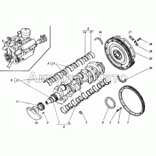Коленчатый вал