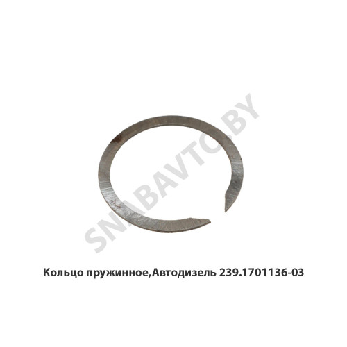 239.1701136-03 Кольцо пружинное,Автодизель 239.1701136-03 Кольцо пружинное,Автодизель