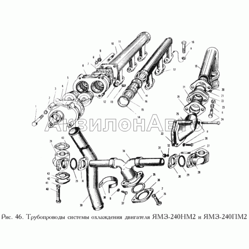 Трубопроводы системы охлаждения двигателя ЯМЗ-240НМ2 и ЯМЗ-240ПМ2