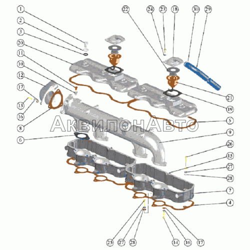 Крышки головок цилиндров, коллектор и сапуны Крышки головок цилиндров, коллектор и сапуны