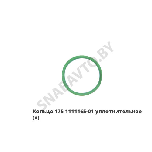 175.1111165-01 Кольцо уплотнительное,ЯЗДА 175.1111165-01 Кольцо уплотнительное,ЯЗДА