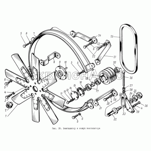 Вентилятор и кожух вентилятора Вентилятор и кожух вентилятора