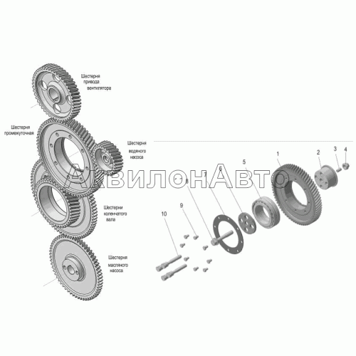 Привод агрегатов, передний торец. Шестерня промежуточная Привод агрегатов, передний торец. Шестерня промежуточная
