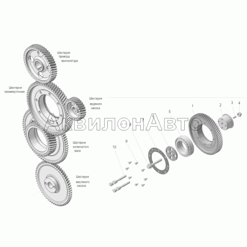 Привод агрегатов, передний торец. Шестерня промежуточная