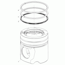 53443.1004013-10 Поршень в сборе
