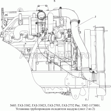 3302-1173001 Установка трубопроводов охладителя наддува