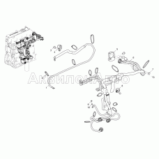 Жгут промежуточный