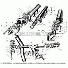 Трубопроводы системы охлаждения двигателей ЯМЗ-240М2, ЯМЗ-240НМ2 и ЯМЗ-240ПМ2