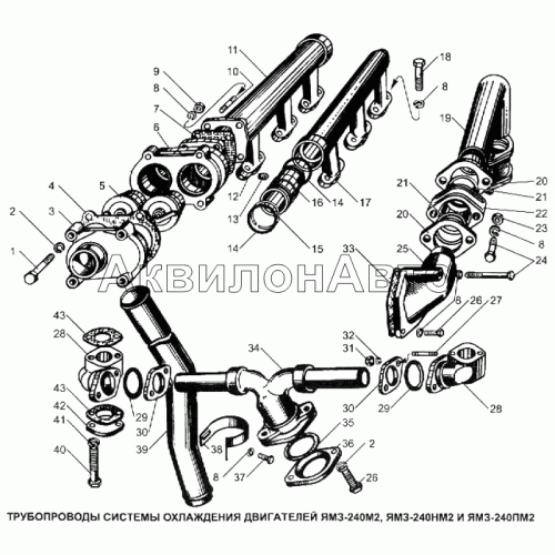 Трубопроводы системы охлаждения двигателей ЯМЗ-240М2, ЯМЗ-240НМ2 и ЯМЗ-240ПМ2