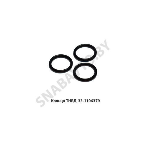 33-1106379 Кольцо ТНВД 016х020х25