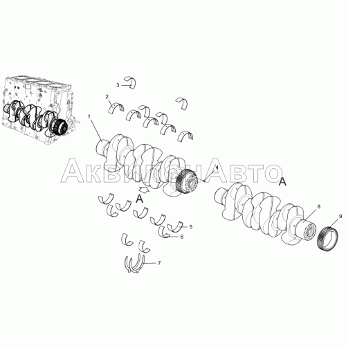 Вал коленчатый 5340-30-100500-010 Вал коленчатый 5340-30-100500-010