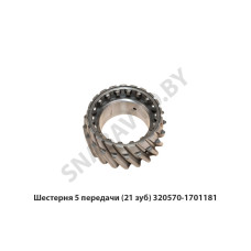 320570-1701181 Шестерня 5 передачи (21 зуб)