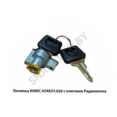 ИЖКС.454823.026 Личинка  с ключами Радиоволна