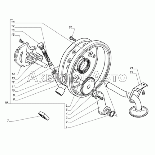 Маслоприемник и насос масляный двигателя, кольцо опроное переднее Маслоприемник и насос масляный двигателя, кольцо опроное переднее