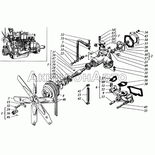 Насос водяной и вентилятор